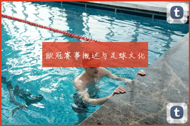 欧冠赛事概述与足球文化