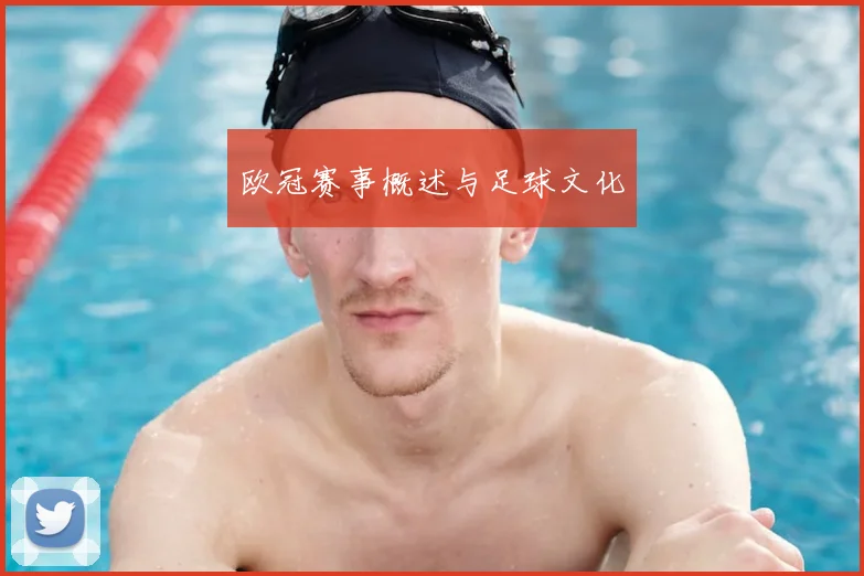 欧冠赛事概述与足球文化